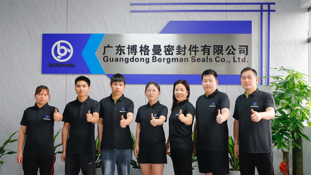Китай Guangzhou Bogeman Mechanical Seal Co., Ltd. Профиль компании