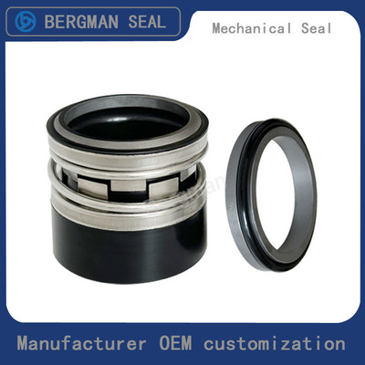 BERGMAN Replaces John Crane 2100-K 12mm-100mm G60 G4 G6 G9 G13 G16 BS Bo BP Pump Mechanical Seal