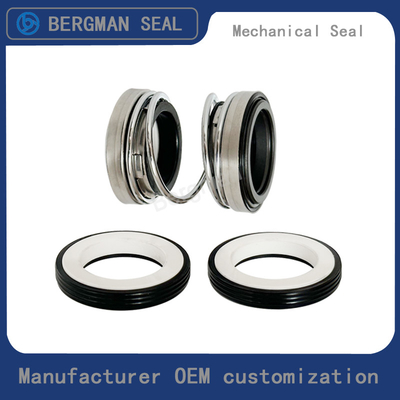 BERGMAN 202/208-10mm-60mm Pipeline Pump Mechanical Seal NBR VITON EPDM Material