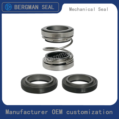 BERGMAN 202/208-10mm-60mm Pipeline Pump Mechanical Seal NBR VITON EPDM Material