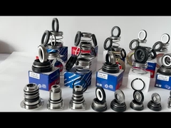 EA560D Бургманн насос Механическая уплотнитель WQ Подводный неуравновешенный